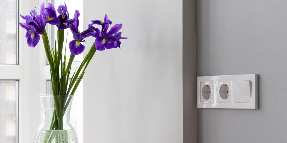 Flowers in home. Flowers in home.